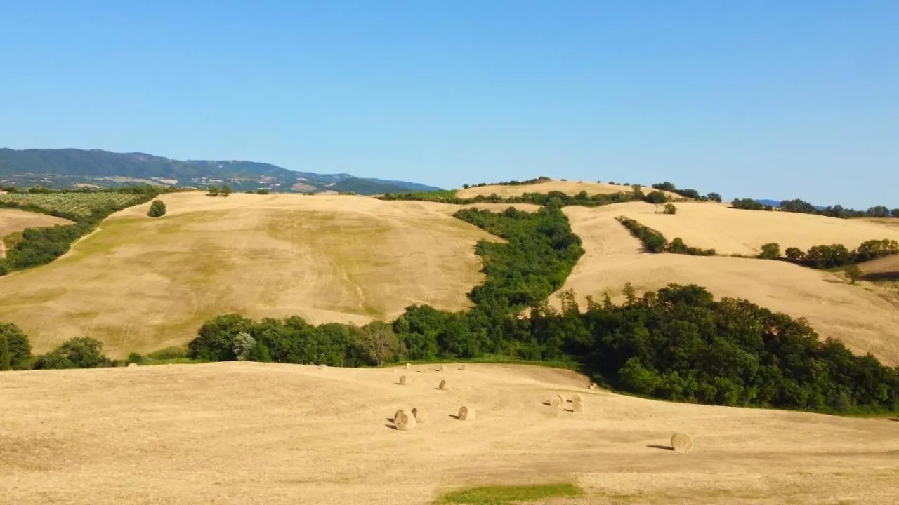 Glamping Le Dune Cinigiano