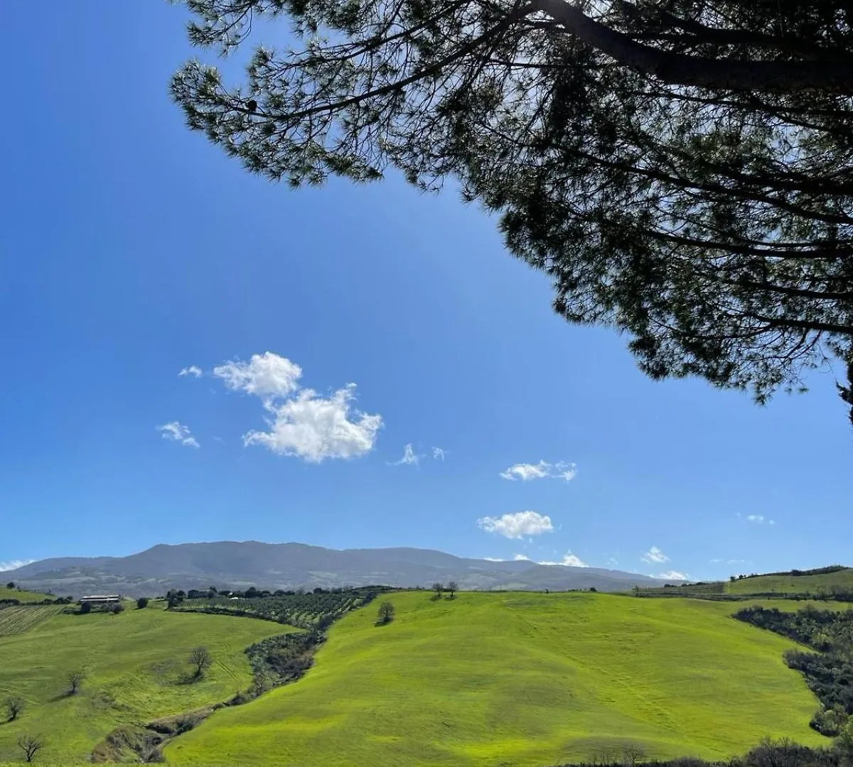 Glamping Le Dune Cinigiano Bed & Breakfast